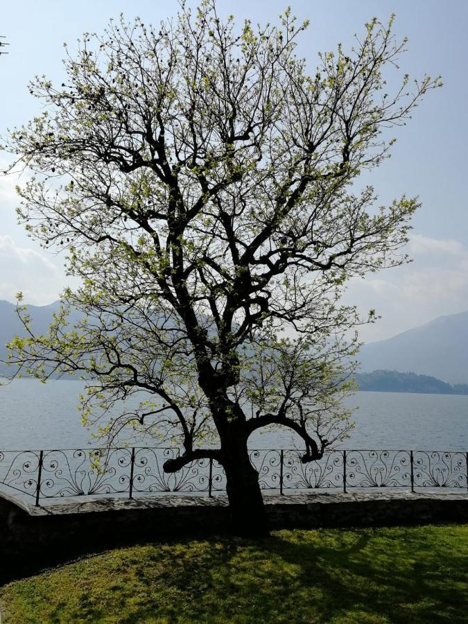 L'Antico Borgo, Un Mix Di Storia E Romanticismo Villa Lierna Eksteriør bilde